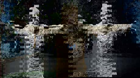 Harolddisneyunderwraps