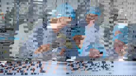 Da Vinci Highlights August 2021 The Dream Job 2