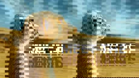 Watch from Saturday, 18 December on Discovery Channel (DStv channel 121) at 20:00