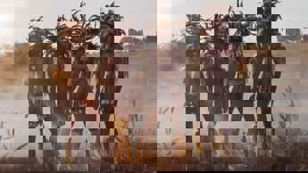 Shaka Ilembe is set for release in 2023