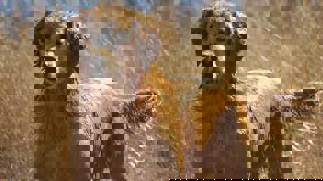 Flirt Play In Waterjpg