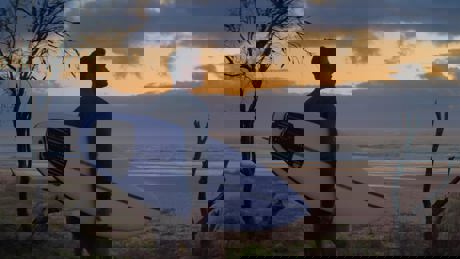 Shark Beach With Chris Hemsworth 2