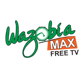 259 Wazobia Max