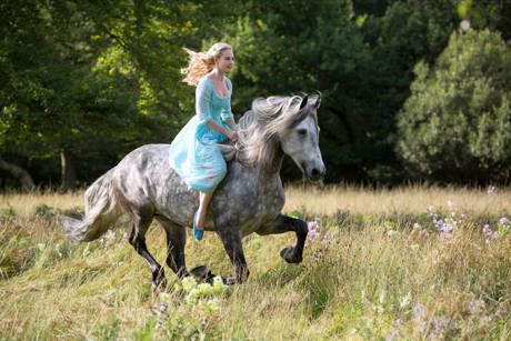 A Girl And Her Glorious Horse – King & Conqueror4 (1)