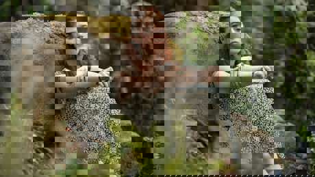 The Time Traveler's Wife 02