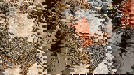 Perfect Planet The Sun 02 052 Making Of