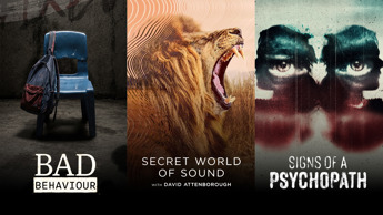What to watch on DStv Premium in September 2026