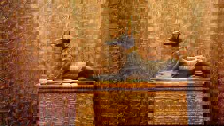 King Tut A Century Of Secrets 2022 KV