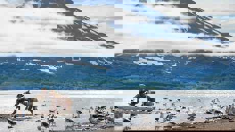 Perfect Planet Volcano 01 002