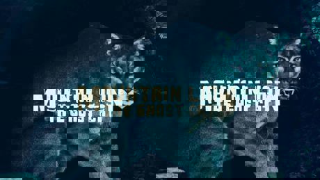 Mountain Lion The Ghost Cat Title