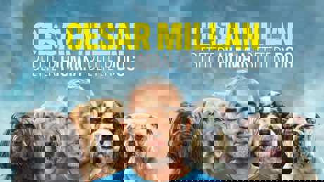 Cesar Milan Better Human