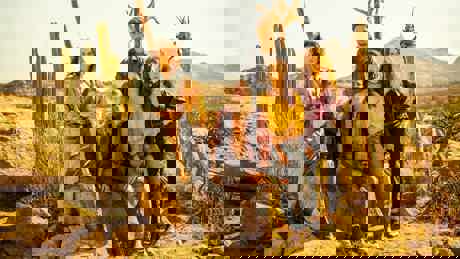Greyling Family In Desert Rose Horizontal