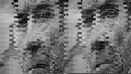 Your Honor S01 Exthoriz Template Ci (1)