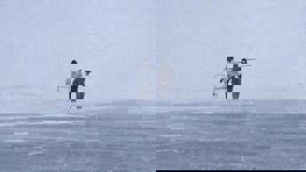 A Fresh start to 2022 on DStv Premium