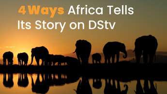 4 Ways DStv Tells Africa’s Story – Loud, Proud and Unfiltered 