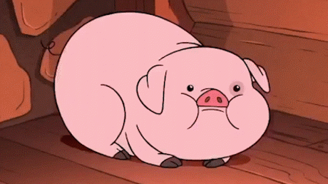 Item 491 Gravity Falls 9 71451