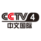 447 CCTV 4