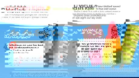 Ice Ice Baby Quiz