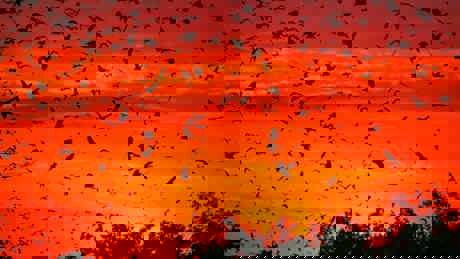 Perfect Planet Weather 03 001