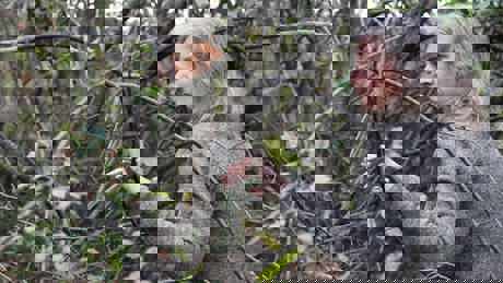 Caught In The Net (1)