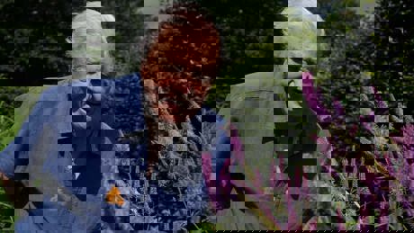 David Attenborough's Life In Colour 2022