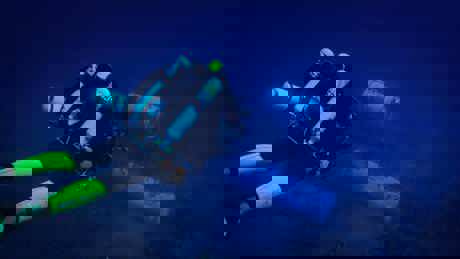 Perpetualplanetheroesoftheoceans UHD 17