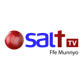 373 SALT TV