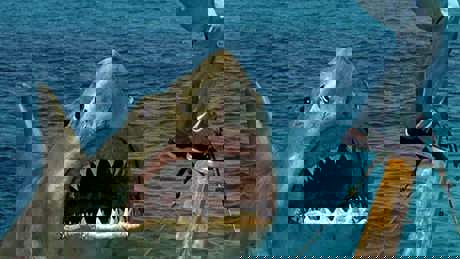 Jaws The Revenge