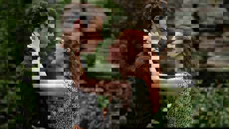 The Time Traveler's Wife S1