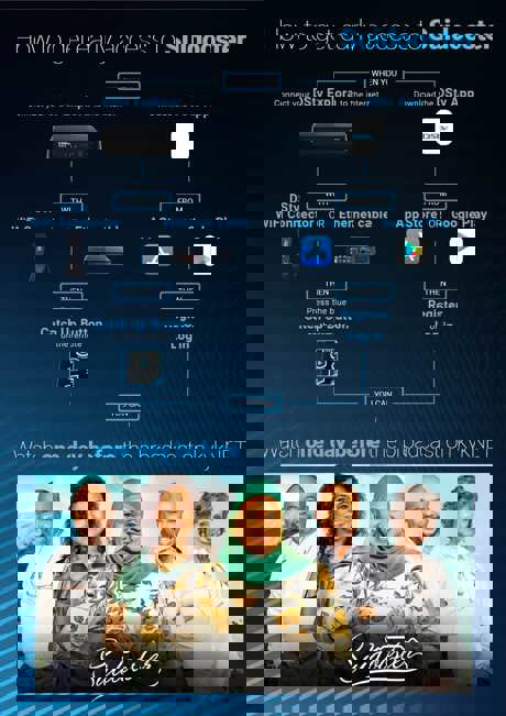 Early Access Suidooster Infographic