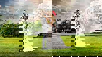 The Wife is coming to Mzansi Magic