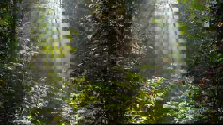 Perfect Planet The Sun 02 016