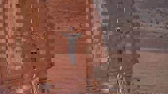 Reality series with a kick on DStv from 21-27 January 