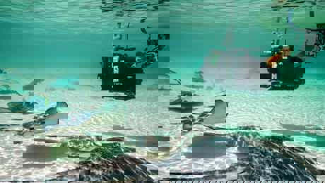 Perfect Planet Oceans 04 049 Making Of