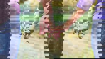 Red carpets, reno & reality on DStv, 10-16 September 