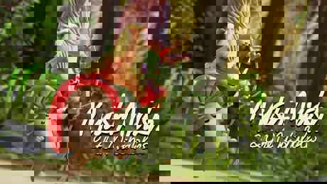 Mushmush Landscape Showlogo 1920X1080