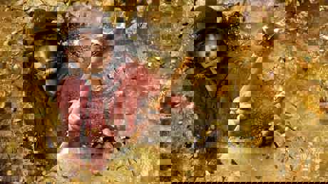 GOLD RUSH S13 2022
