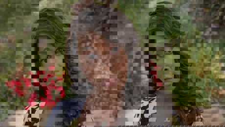 The Wrong Real Estate Agent (5)