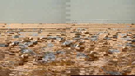 Perfect Planet Weather 03 015