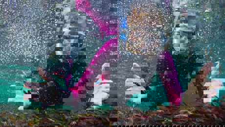 Perpetualplanetheroesoftheoceans UHD 18
