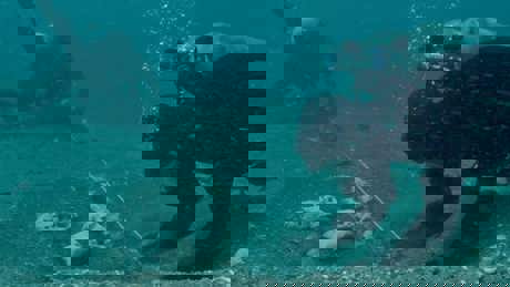 BERMUDA TRIANGLE INTO CURSED WATERS HISTORY FEB 2023 (3)