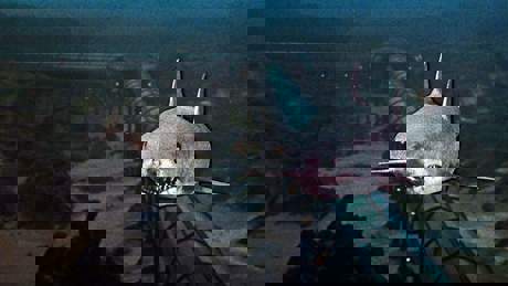 Jaws 3D