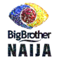 198 Big Brother Naija