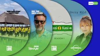 What to stream on DStv Family January 2025