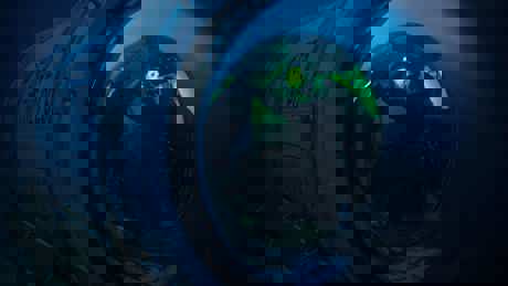 Perpetualplanetheroesoftheoceans UHD 10