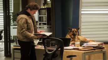 Action-packed sixth season of Hudson & Rex