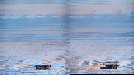 Perfect Planet The Sun 02 002