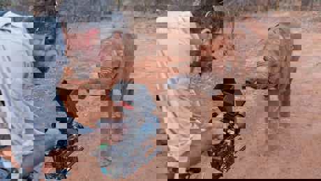 Perfect Planet Team Bts 005