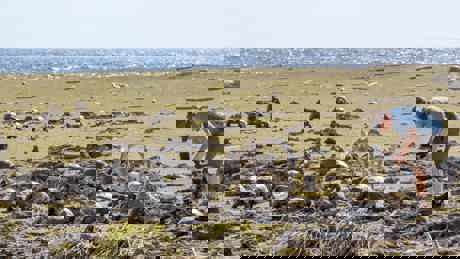 Perfect Planet Volcano 01 048 Making Of