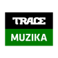334 TRACE Muzika